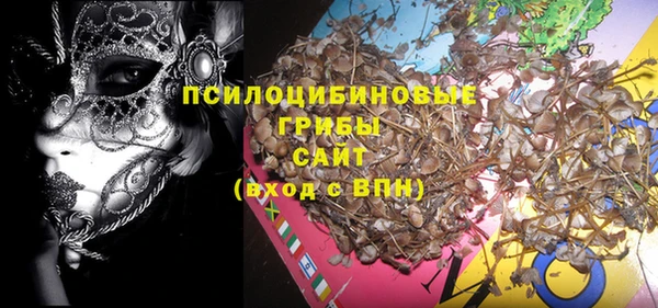 Альфа ПВП Инта