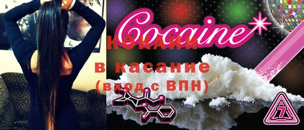 Альфа ПВП Инта