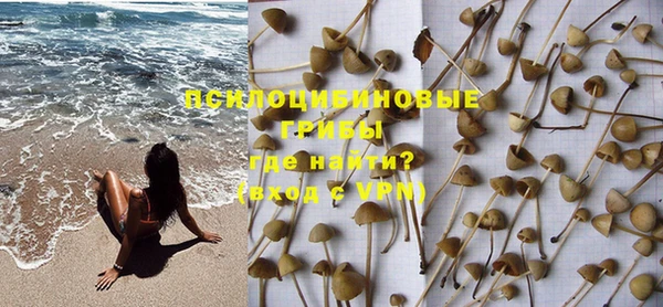 прущая мука Иннополис