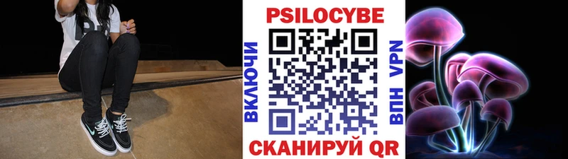 Купить закладки  Новодвинск  Галлюциногенные грибы Psilocybine cubensis 
