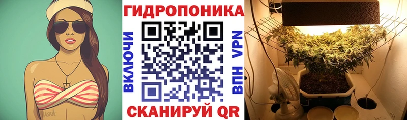 Купить  Новодвинск  Каннабис THC 21% 